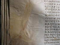 Condition of parchment repair