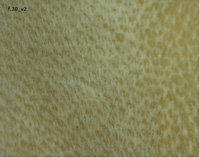 Sheep follicle pattern (Q41 f.1v, BL f.30v)